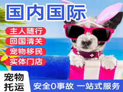 珠海莲洲空运地址国际宠物托运 【国